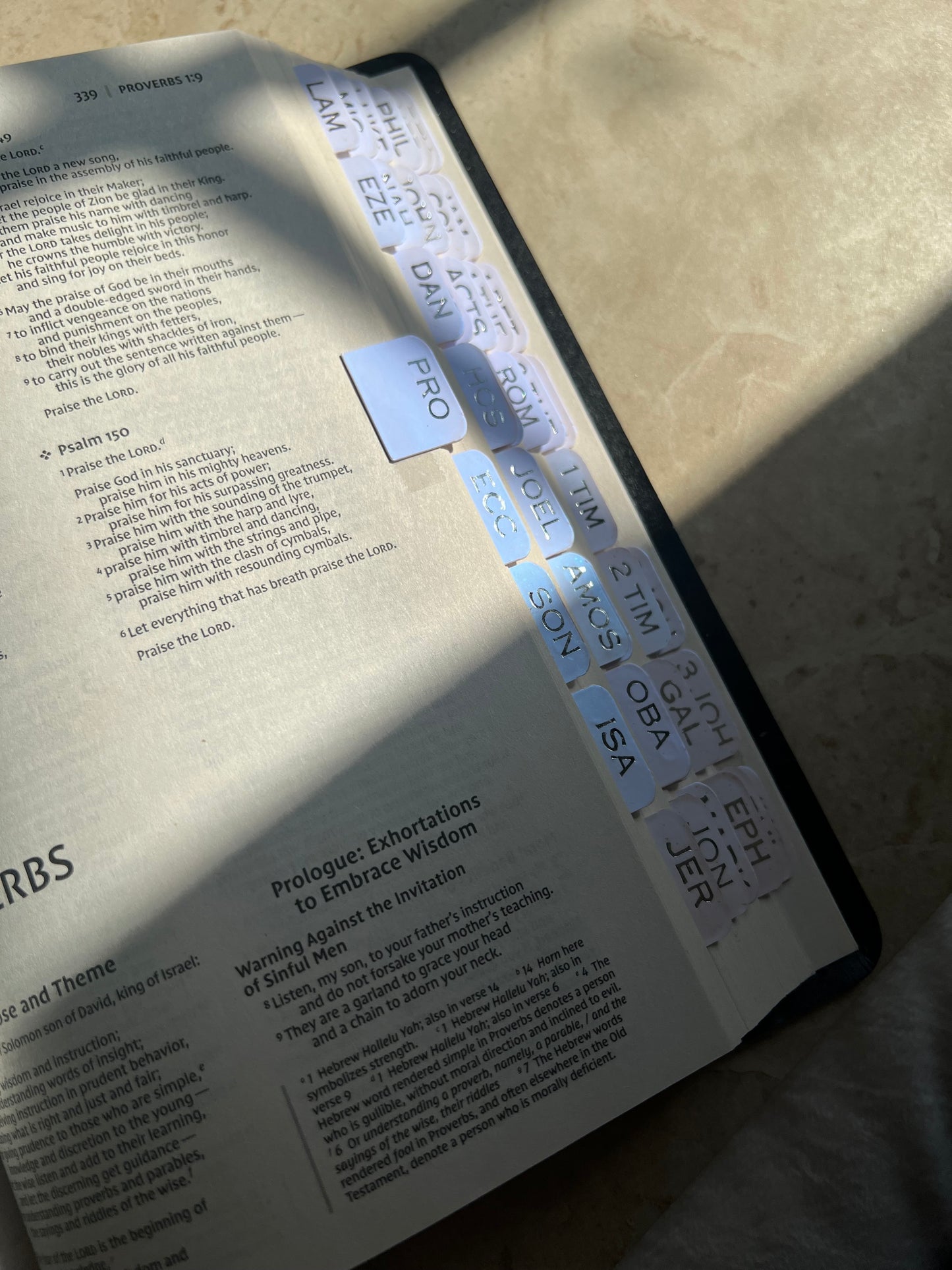 Pearl holographic Bible tabs