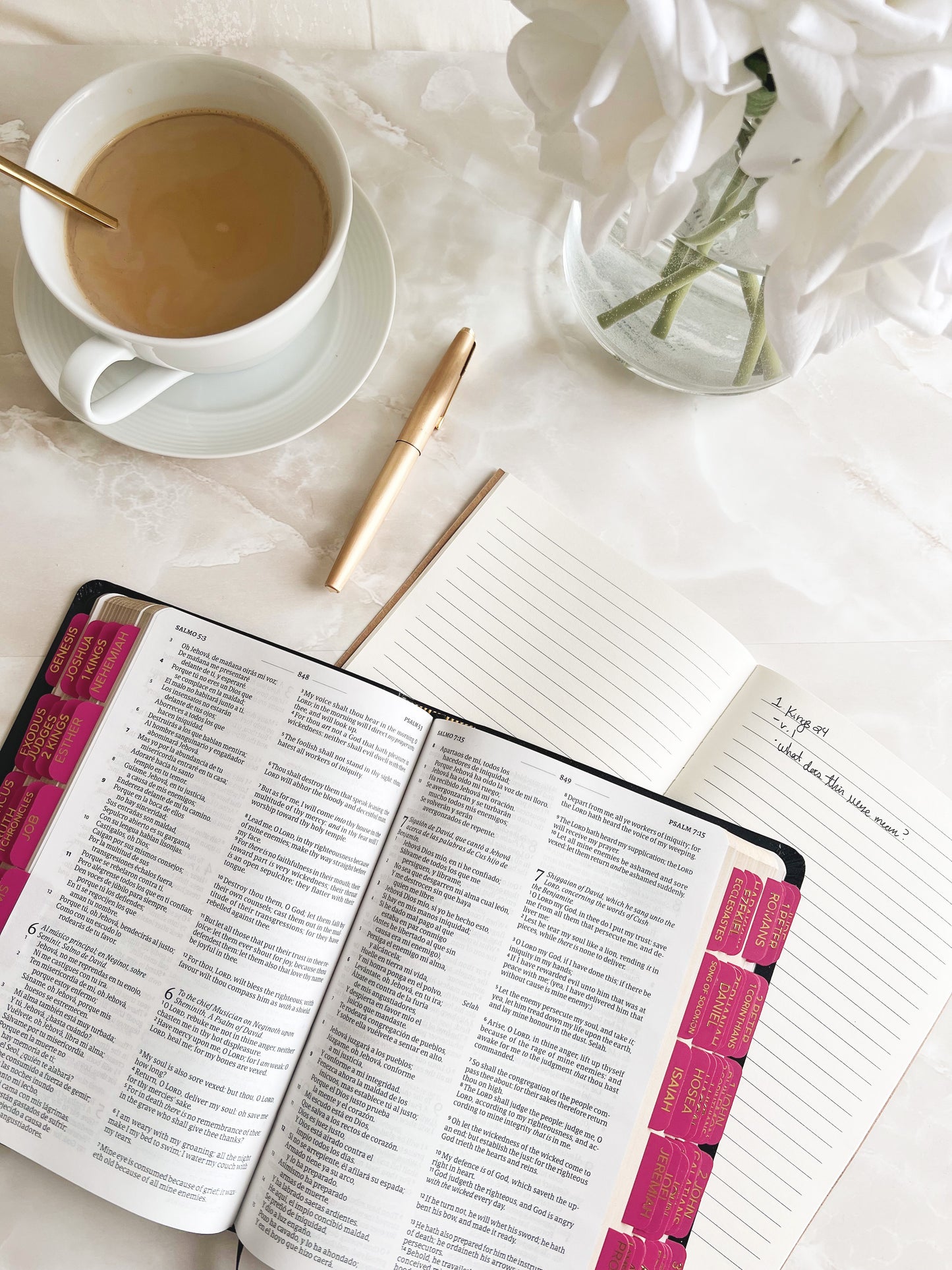 Hot Pink Bible Tabs – Elegant  minimalist Gold  Lettering | 66 Books