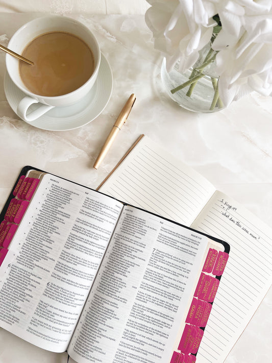 Hot Pink Bible Tabs – Elegant  minimalist Gold  Lettering | 66 Books