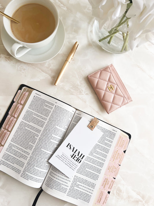 powder Pink Bible Tabs – 66 Books | Gold Lettering | Feminine & Durable