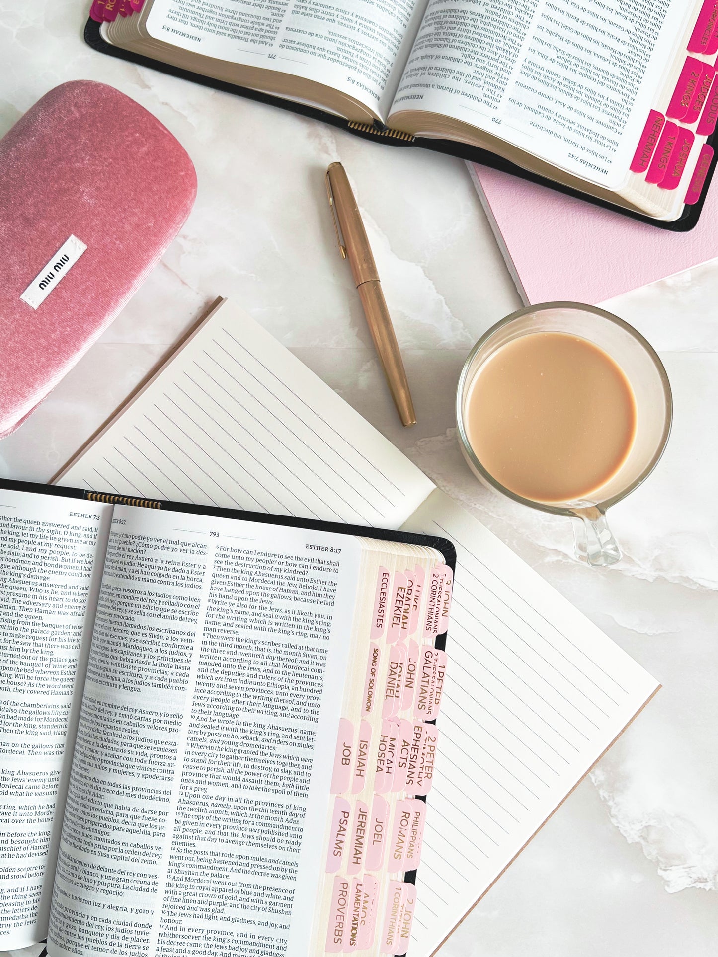 powder Pink Bible Tabs – 66 Books | Gold Lettering | Feminine & Durable