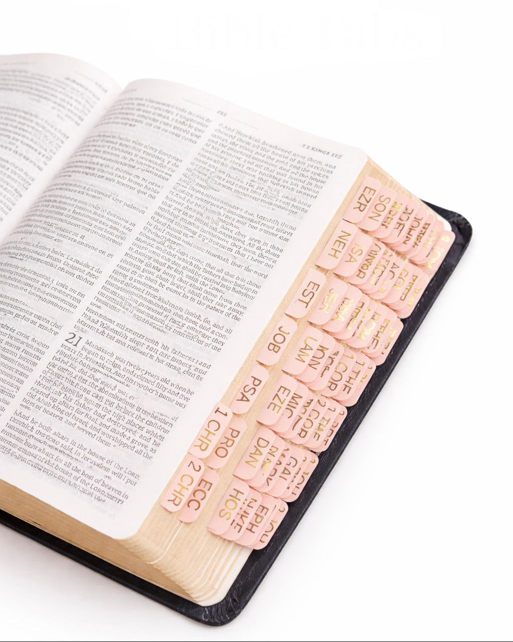 Mini powder pink Bible tabs