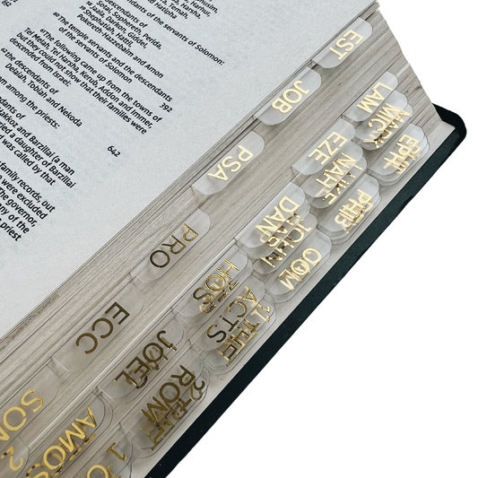 mini Clear Bible Tabs with Gold Foil – Elegant, minimalist, 66 Books